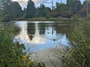 Highlands Park Aquatic Center