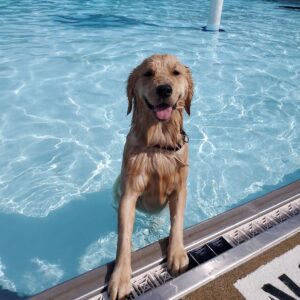 Hunters Ridge Pool