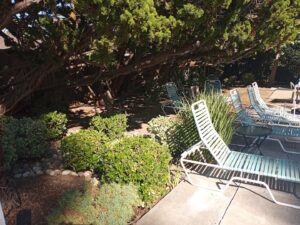 LAURELHURST POOL