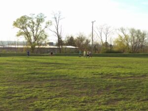 Lambert Park Pool