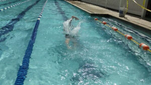Magnolia Wood Pool