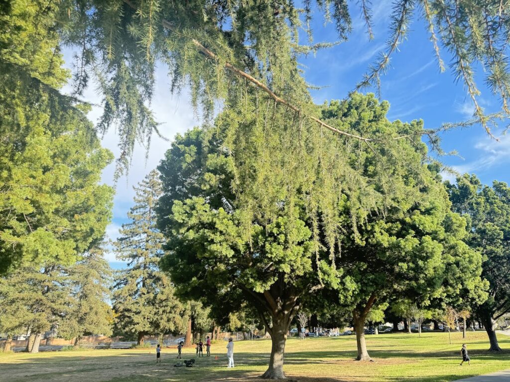 Mary Gomez Park and Pool