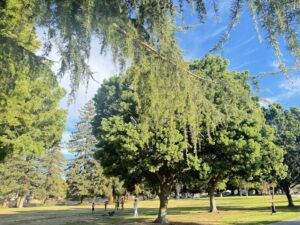 Mary Gomez Park and Pool