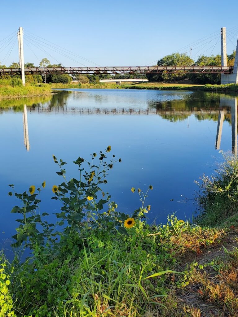 Mason Swimming Pool