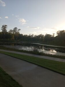 Memorial Swimming Pool