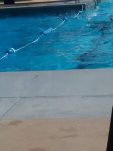 Moorefield Town Pool