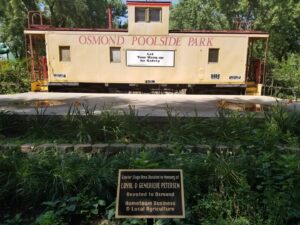 Osmond Swimming Pool