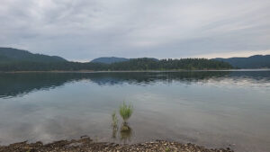Pactola Point Swim Beach