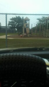 Paxon Swim Pool