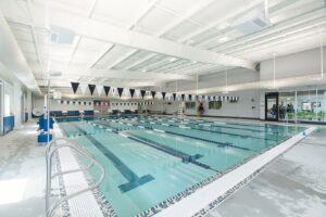 Pods Swimming