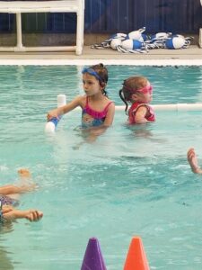 Pods Swimming