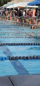 Quicksilver Swimming
