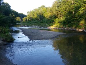Randolph Pool