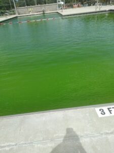 Ribault Swim Pool