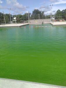 Ribault Swim Pool