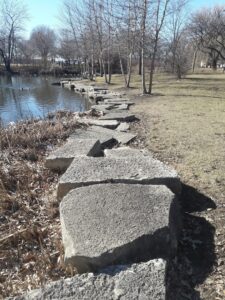 Riis Park Pool (Outdoor)