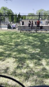 River Park Pool (Outdoor)