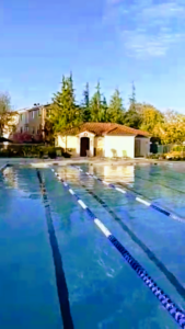 Rivermark Pool