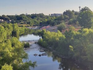 Roosevelt Park