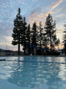 Shadow Brook Swim Club