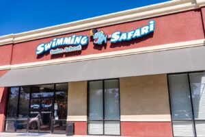 Swimming Safari