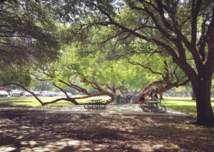 Tietze Park