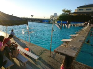 Valley Christian Swimming Pool