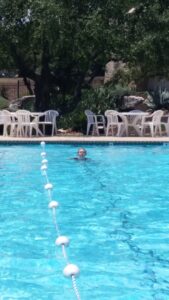 Vineyard Pool