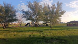 Wall Public Park