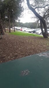Walnut Creek Municipal Pool