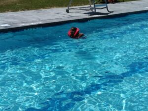 White Memorial Park Pool