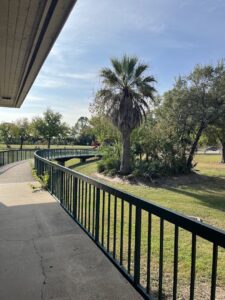 Wilson Swimming Pool