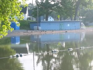 Windsor Swim Area