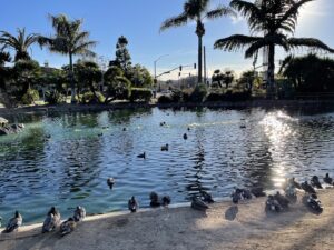 Woodland Park & Pool