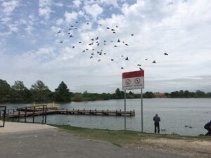 Woodlawn Lake Park Public Pool