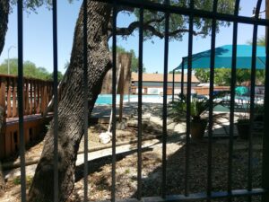 Woods of Shavano Pool