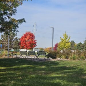 Ford Woods Pool & Water Park