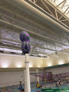 Indoor Aquatic Centre (Troy Community Center)