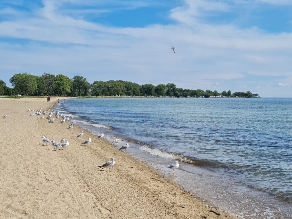Lake Saint Clair Metropark water park