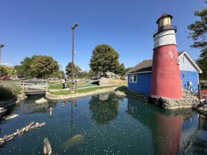 Lake Saint Clair Metropark water park