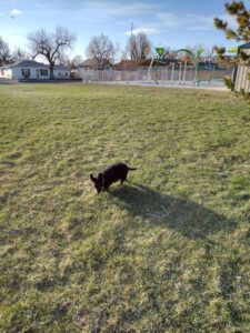 Marion Kreiner Pool & Splash Pad