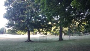 Moores Park Swimming Pool