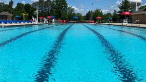 Plymouth Pool (MI)
